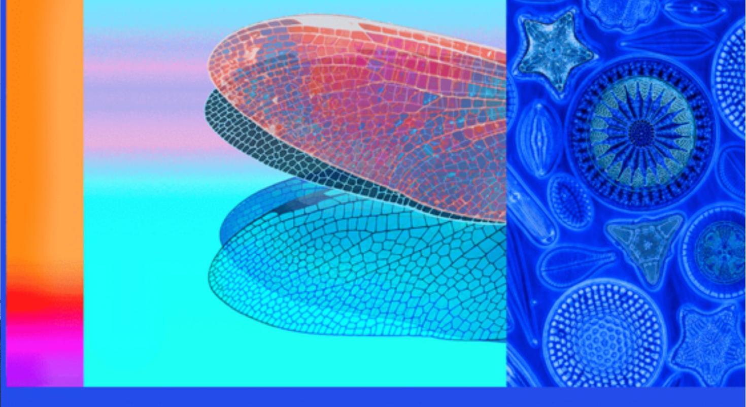 Close-up of part of Jennifer Macklem's artwork, showing an enlarged microscopic wing and eye of a dragonfly in vivid blue, orange, pink and red.