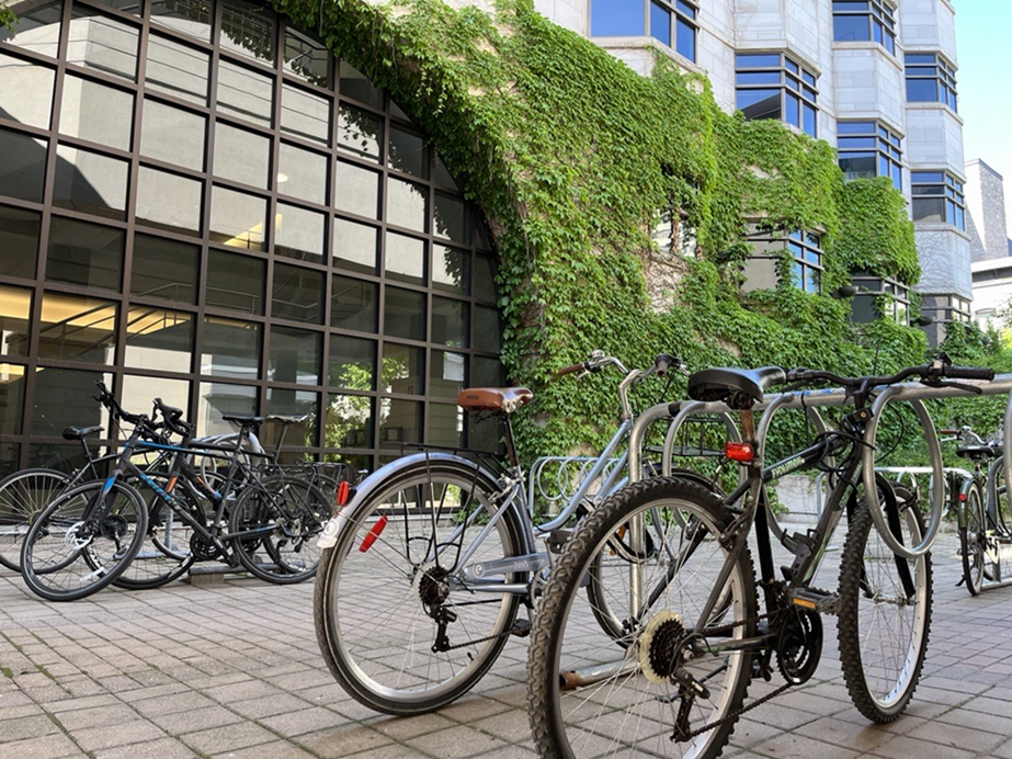 Bicyclettes garées devant un bâtiment