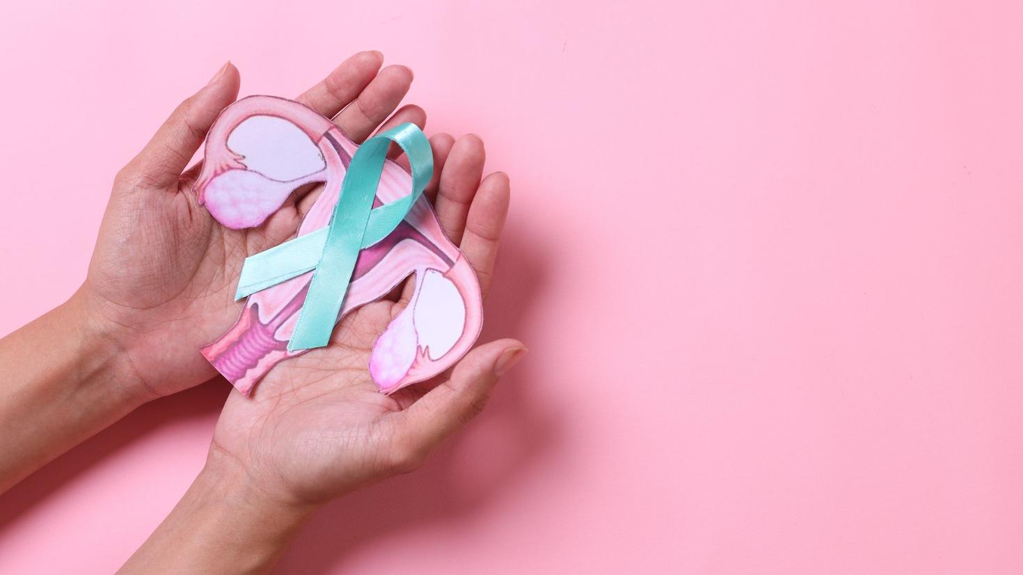 Hands holding a drawing of the female reproductive system and the ovarian cancer ribbon
