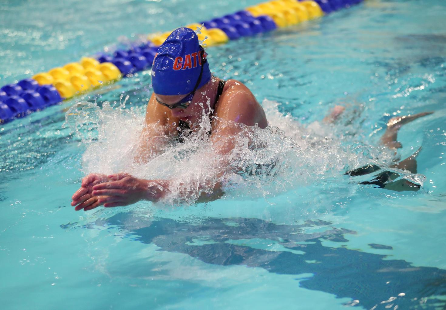 Nina swimming for the University of Florida Gators