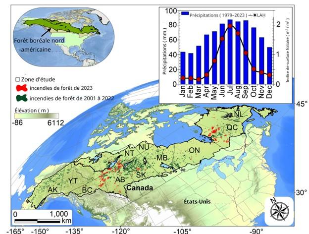 La zone d'étude comprend les forêts boréales d'Amérique du Nord. Les valeurs historiques (1979-2023) des précipitations mensuelles et les données MODIS LAI (2000-2023) sont indiquées dans le panneau supérieur droit. 
