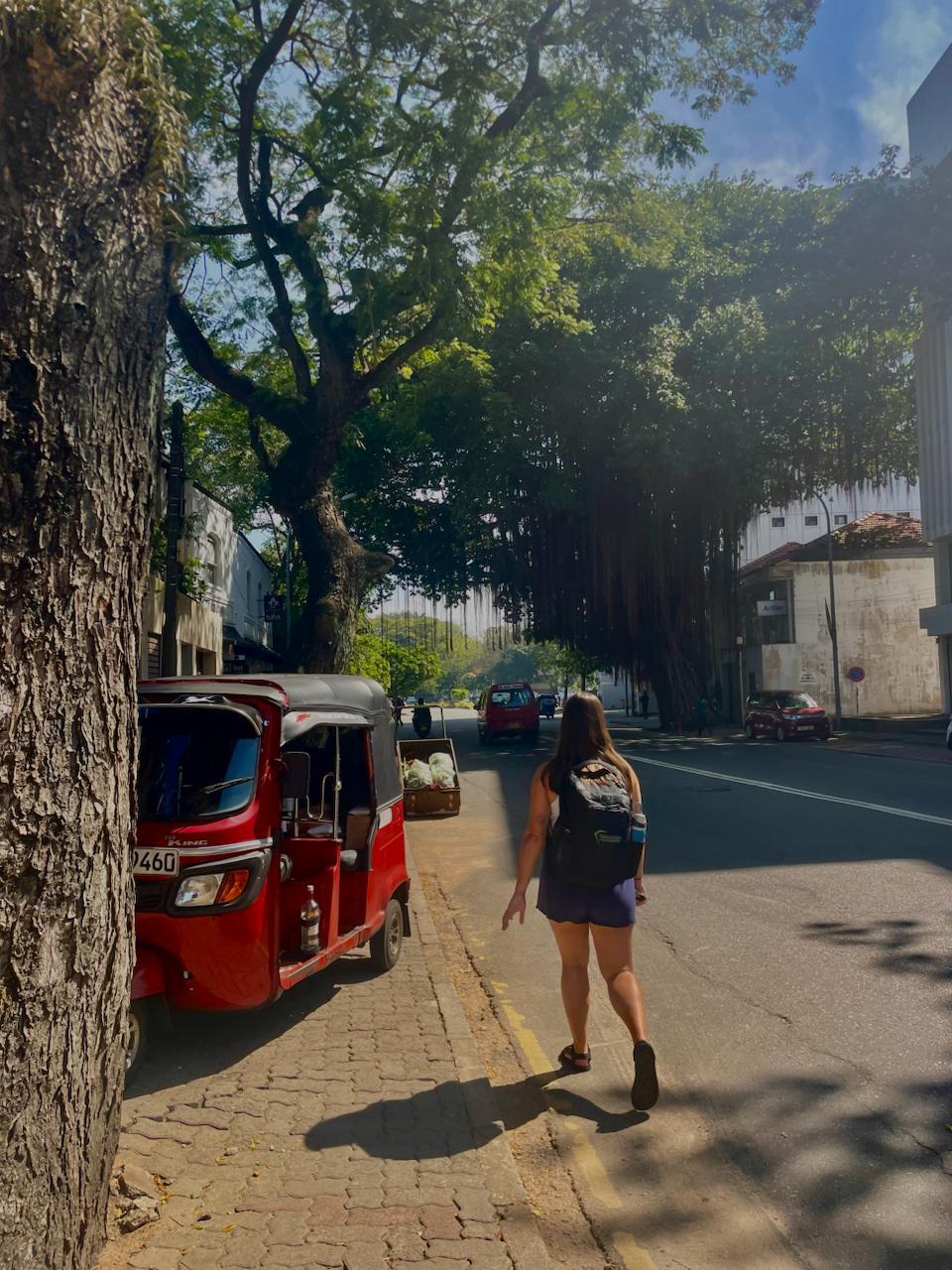 A picturesque walk through the lively alleyways of Sri Lanka.