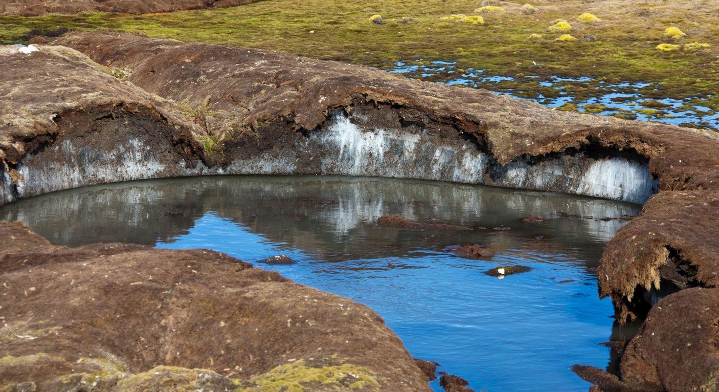 A calm pond filled with clear water.