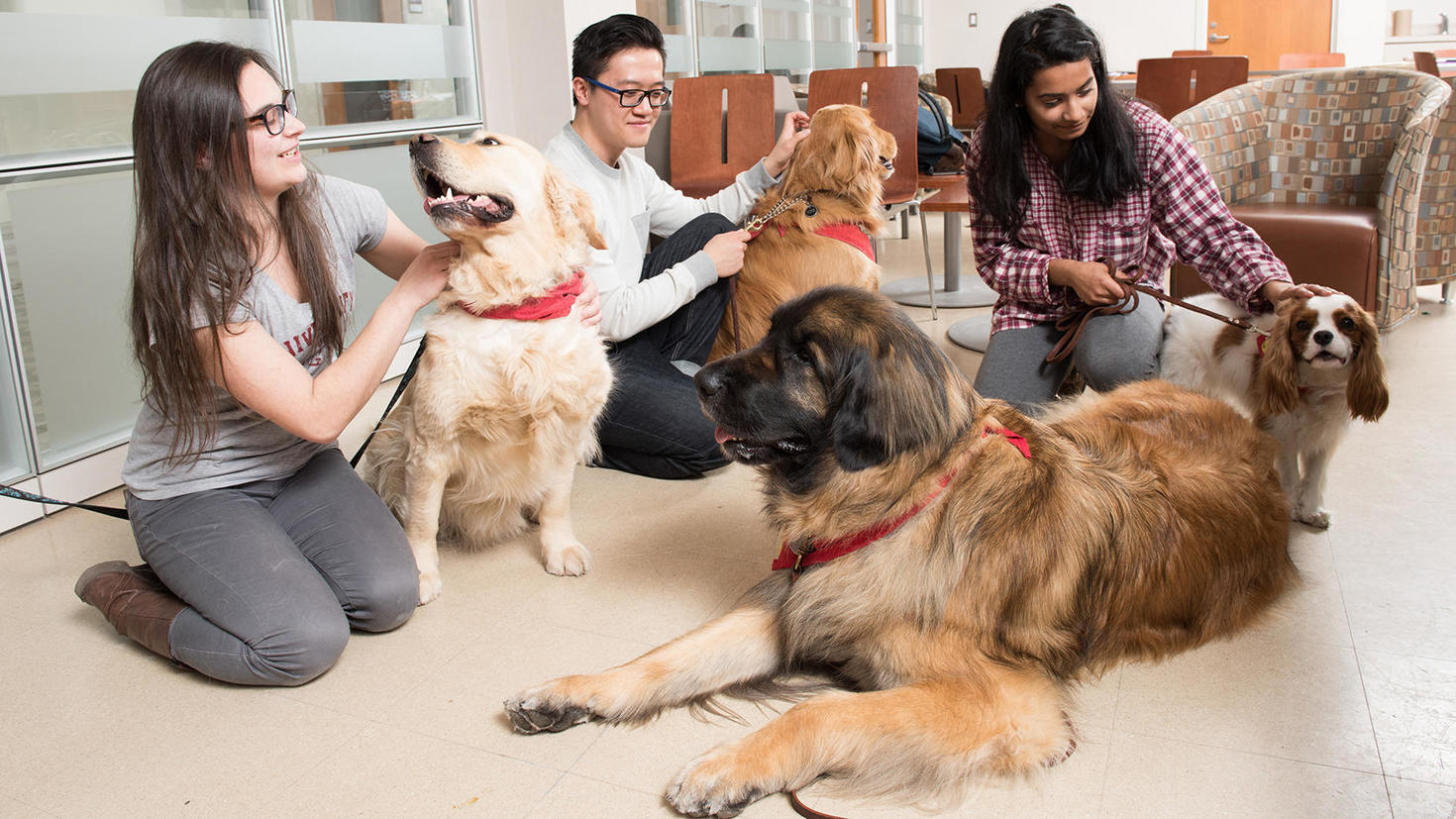 three students in pet therapy petting dogs