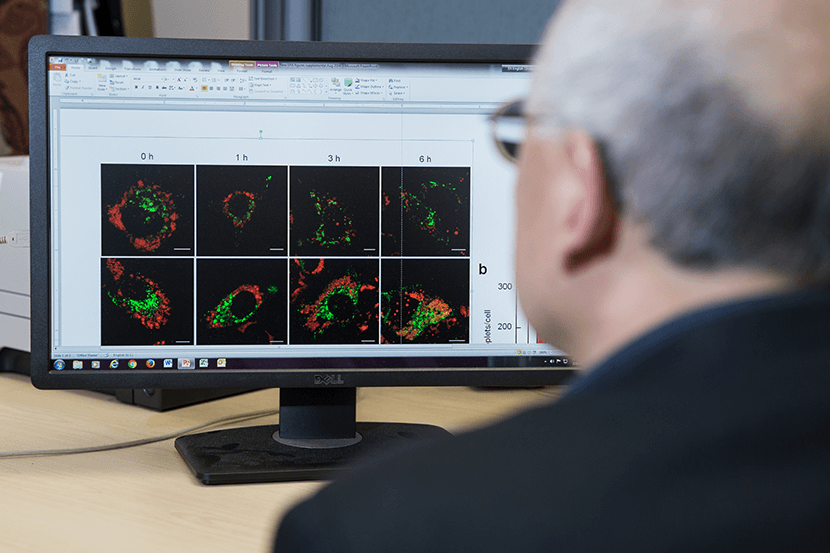 Computer screen showing images of research results.