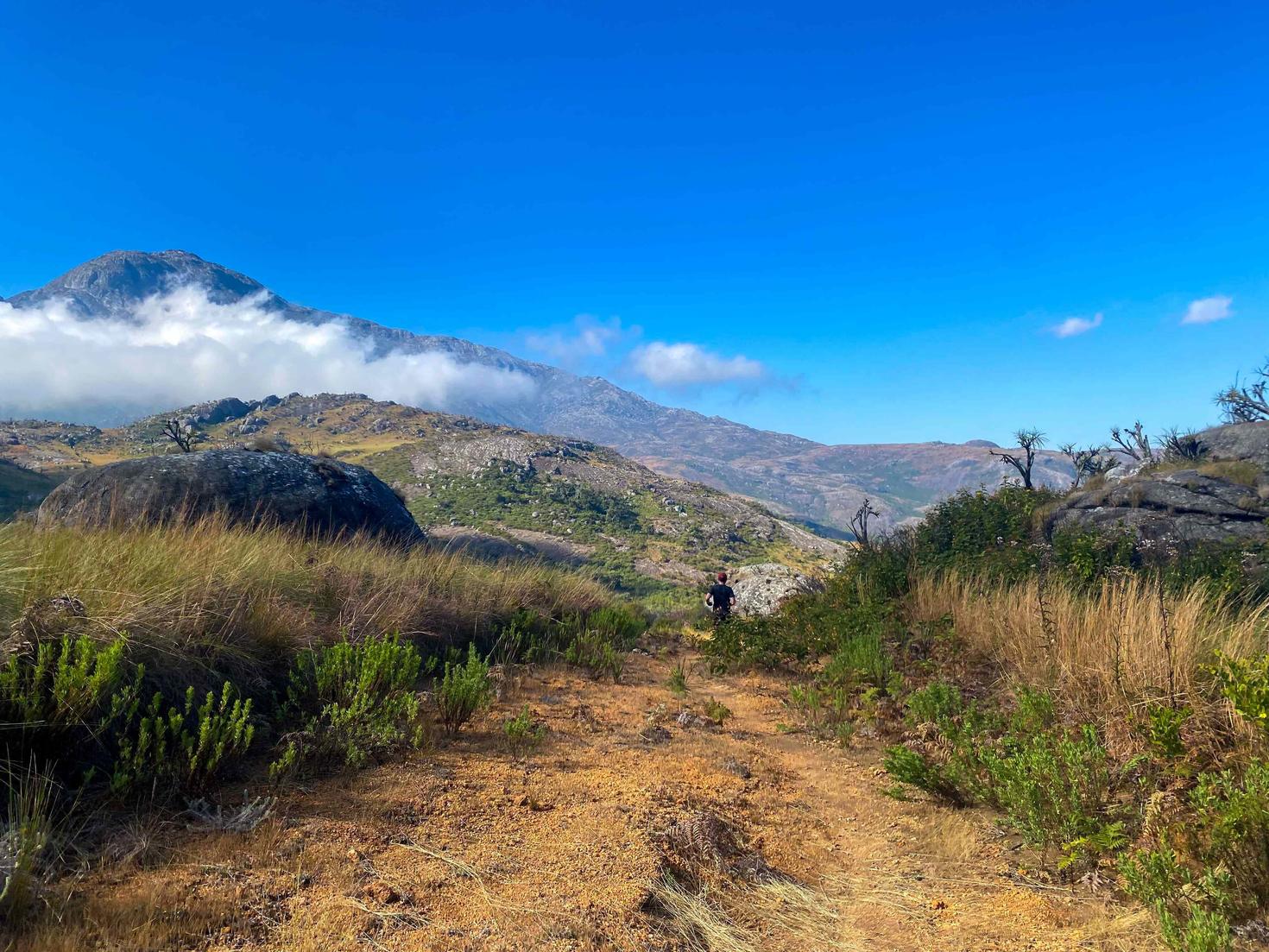A beautiful hill dotted with rocks and lush plants