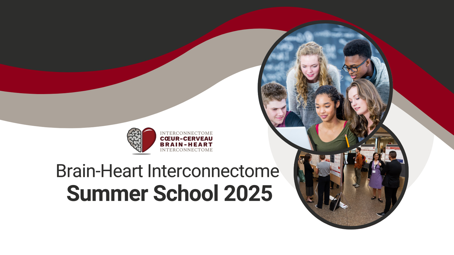 BHI summer school banner.