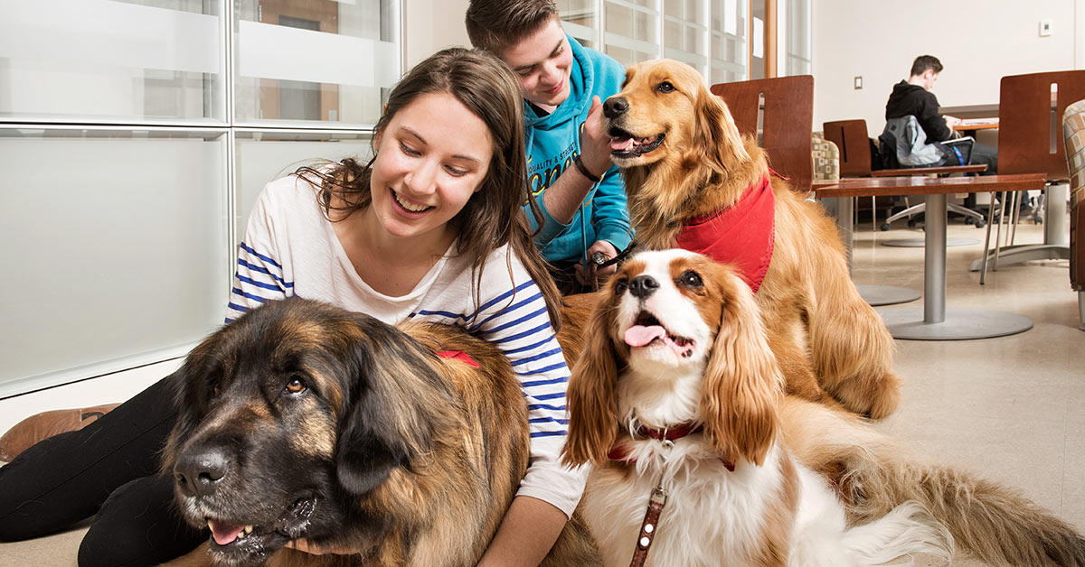 Two people petting and smiling with three dogs.