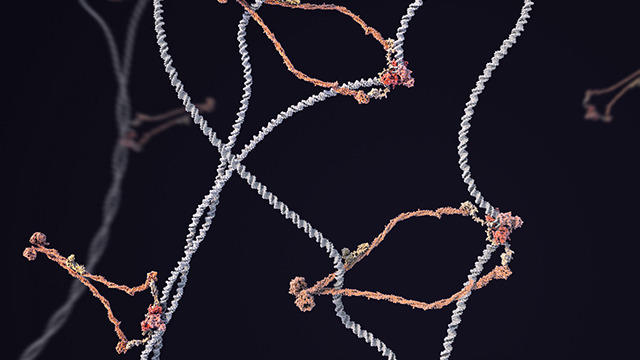 microscopic image of a virus