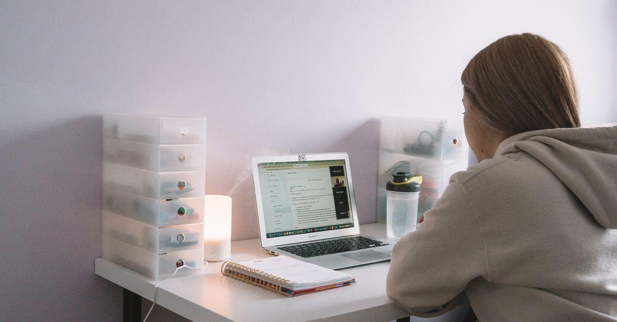 Student seen from the back, sitting at her desk in front of a computer screen.