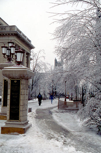 Tabaret Hall and ice-covered trees.