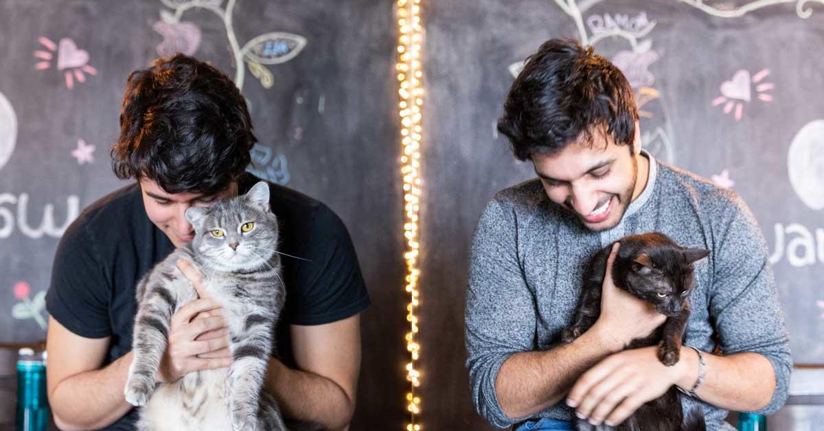Ismail Benmbarek and Ali Kazal each hold a cat in their hands.