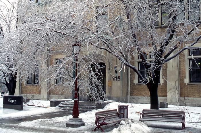 Trees covered with ice in front of Hagen Hall.