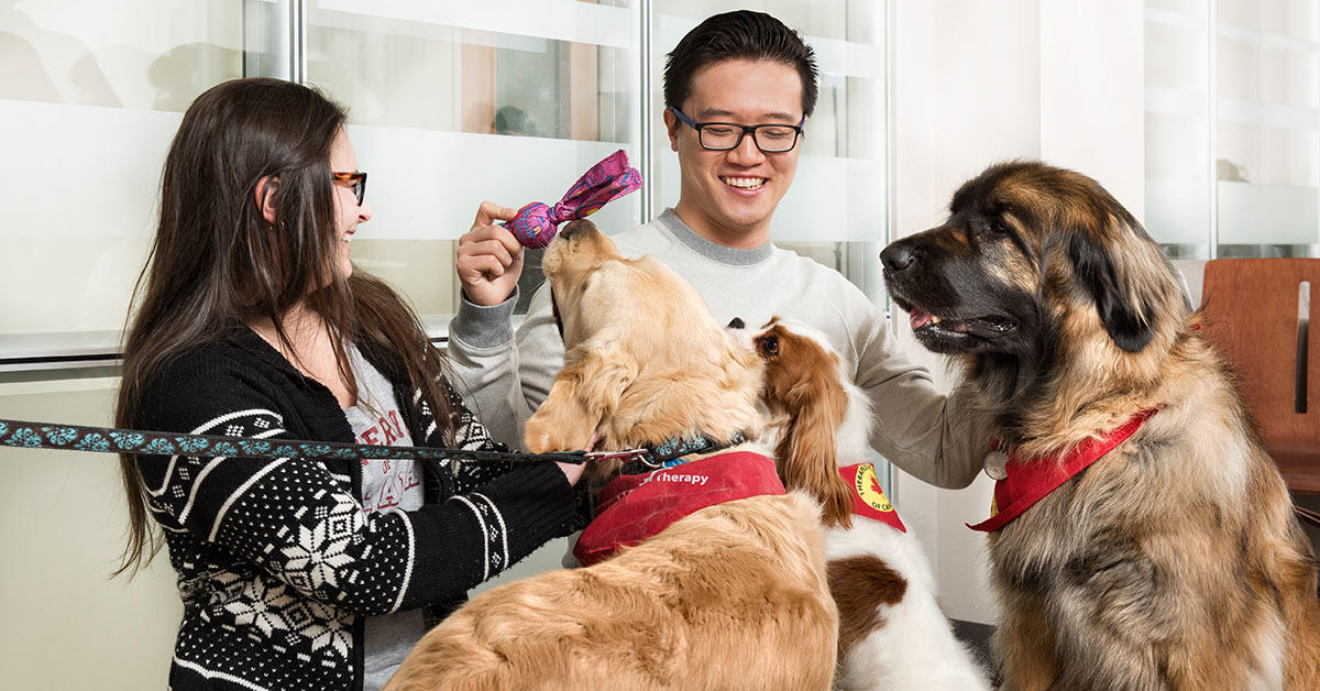 Two students playing with three dogs.