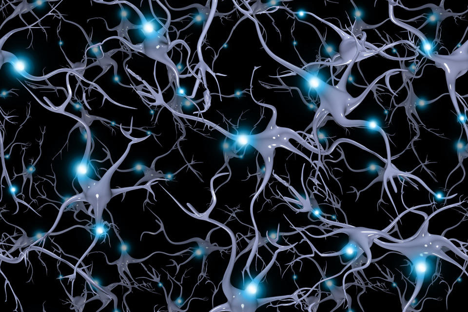 Neurons